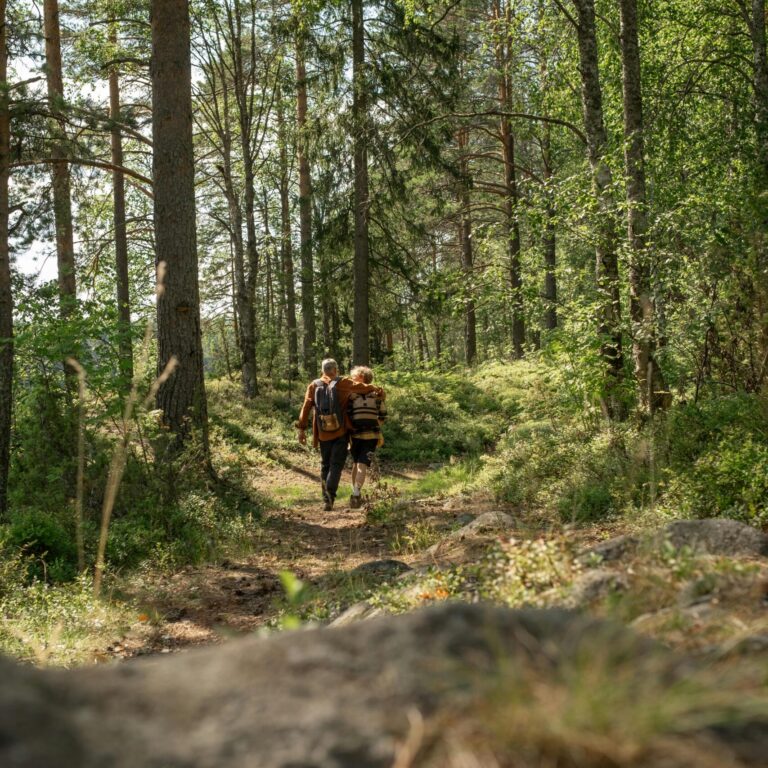 Staze za setnju Planinarske staze Fruška gora – šumski putevi i vidikovci idealni za šetnje i boravak u prirodi